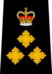 Policja Vancouver - Chief Constable.png