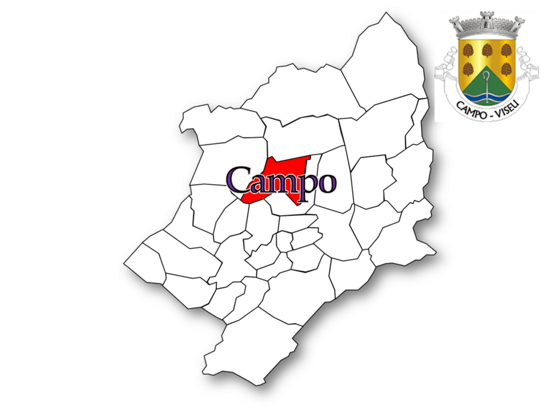 Campo (Viseu)