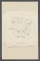 Volvox spec. - - Print - Iconographia Zoologica - Special Collections University of Amsterdam - UBAINV0274 113 23 0004.tif