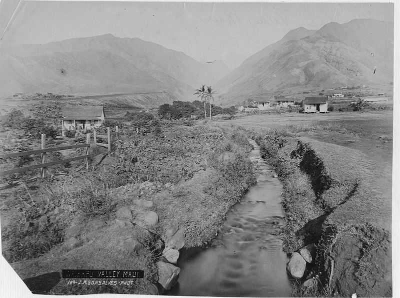 File:Waikapu Valley, Maui (PPWD-10-14-011).jpg