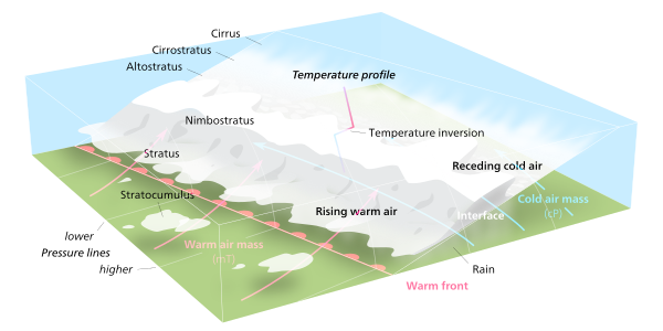 Illustration of a warm front. The warm air behind the front is slowly overtaking the cold air ahead of the front, which is moving more slowly in the same direction. The warmer air, due to lower density, climbs over the colder air as it moves. As a result of its increased altitude, it cools off and its moisture condenses, forming clouds and possibly precipitation.