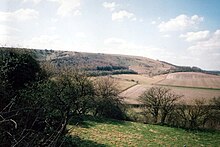 Photograph of Watership Down