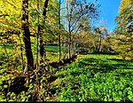 Naturschutzgebiet Weilersbachtal