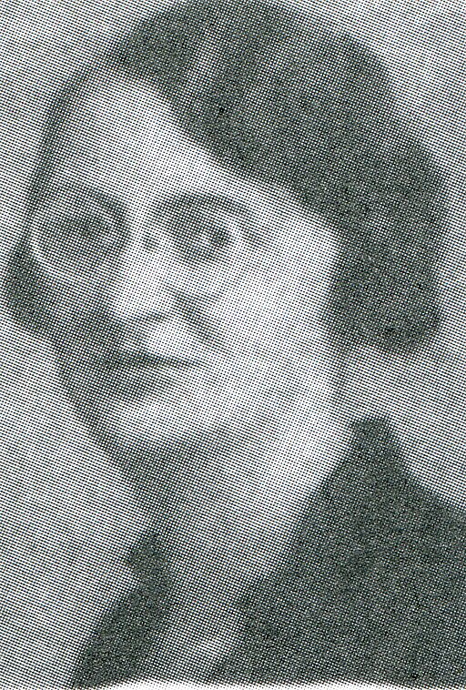 Wilhelmine Moik