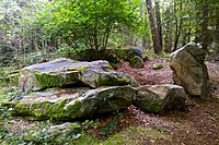 Quarzitfelsen „Wippersteine“