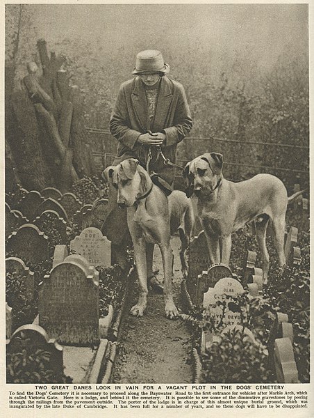 File:Wonderful London (1927) 37 – Dogs' Cemetery, Bayswater Road.jpg