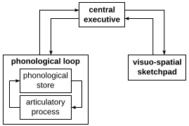 File:Working memory model.svg