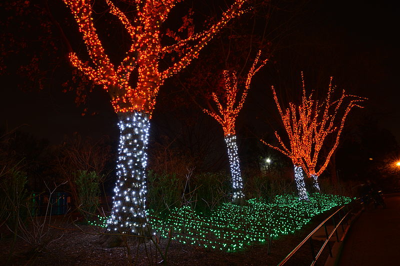 File:Zoolights DC 2014 (15890382829).jpg