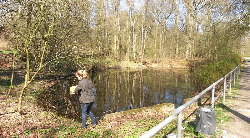 File:Zwischenteich der Gussau beim Waldweg.jpg