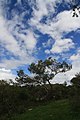 פארק הכרמל 3 - גנים לאומיים בצפון הארץ - אתרי מורשת 2016 (70).jpg