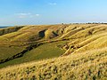 'Bloody Ditch', Beacon Hill, near Heddington - geograph.org.uk - 1537986.jpg