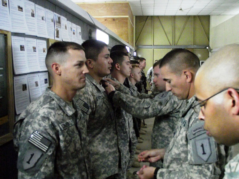 File:'Vanguard' Battalion scouts receive Combat Action Badges DVIDS442500.jpg