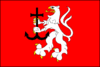 Vlajka obce Čechy