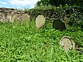 Čeština: Židovský hřbitov ve Stříteži, okres Jihlava. English: Jewish cemetery by the village of Střítež, Jihlava District, Vysočina Region, Czech Republic. This is a photo of a cultural monument of the Czech Republic, number: 37764/7-5233. Památkový katalog  · MIS  · hledat obrázky  · hledat seznamy  · Wikidata