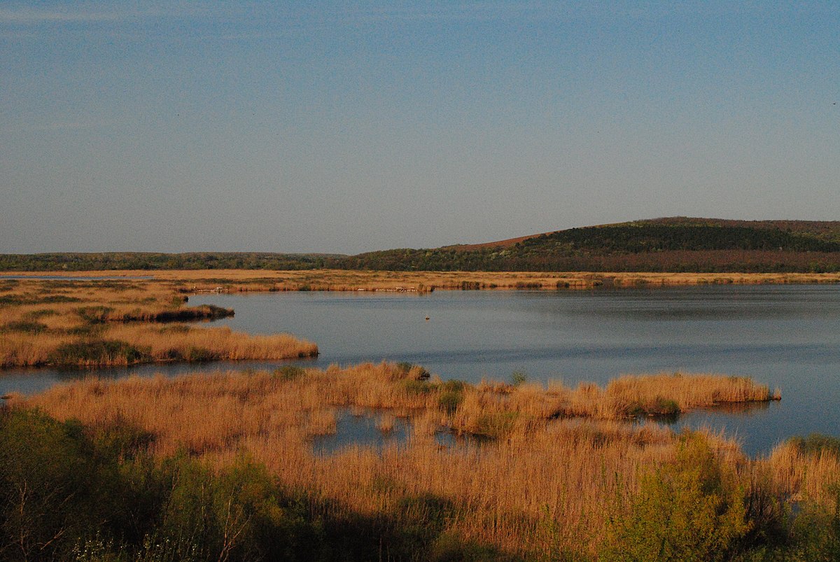 Srebarna Nature Reserve Wikidata