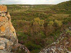 Bir kanyon