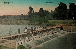 Dæmningen i Berehove, Postkort fra år 1900