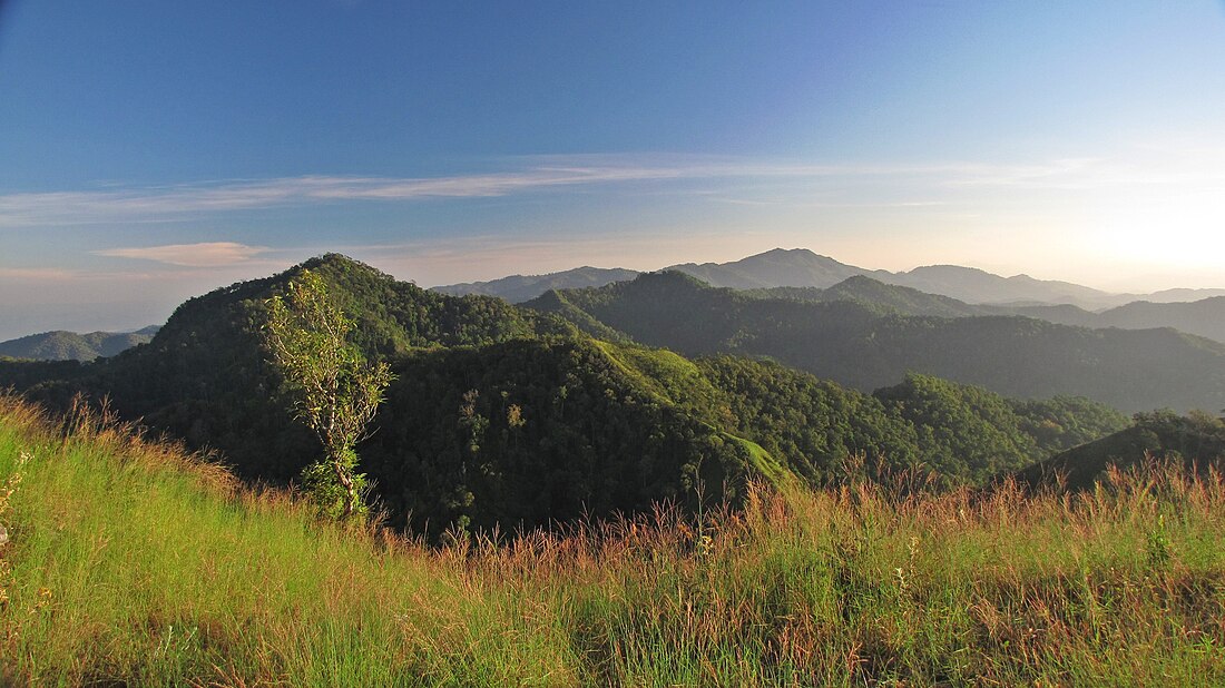 Wiang Pa Pao district