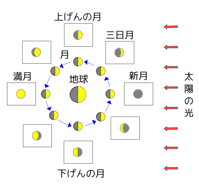 小学校理科 6学年 Wikibooks