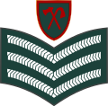 04.Gambian Army-SSG.svg