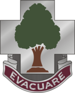 115th Combat Support Hospital "Evacuare"