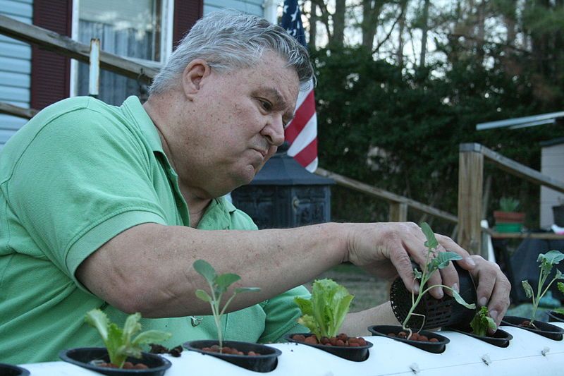 File:2009-03-07 Rix Dobbs planting veggies in hydro system.jpg