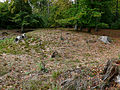 200910071024MEZ Wp 10-11 Holz 1.jpg