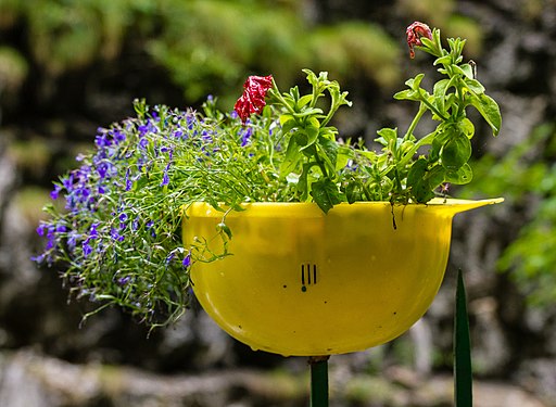 Hut als Blumentopf umfunktioniert Hat converted as a flowerpot