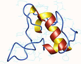 <span class="mw-page-title-main">Somatomedin</span> Group of proteins responsible for both promotion and inhibition of cellular growth