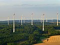 31 Windräder auf dem Hunsrück - Der alte und der neue Wald - panoramio.jpg
