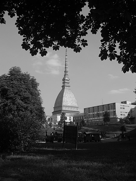 File:47 - Mole in blackwhite.JPG