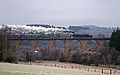 A charter train with the 52 8134 on the viaduct at Rudersdorf in December 2012