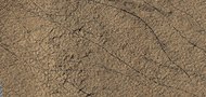 Close color view of dust devil tracks, as seen by HiRISE under HIWish program patterned ground is visible in the background.