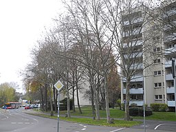 Graf-Bernadotte-Platz in Kassel