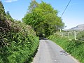 A minor road in Cwm Pennant - geograph.org.uk - 2471293.jpg