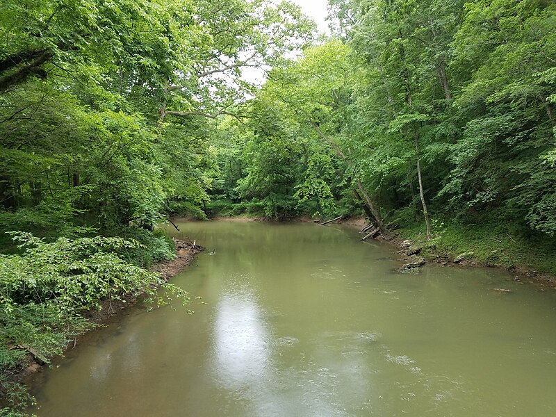 File:A view of South Chickamauga Creek from the Facilities Bridge at Audubon Acres in Chattanooga, Tennessee (2d1fdd88-3072-4033-82f3-7d962f09f67a).jpg