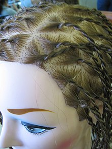 Two-stranded twists demonstrated on a hairstylist's mannequin African american twists.jpg