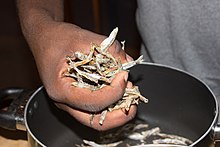 Dried anchovies in Ghana Anchovies.jpg