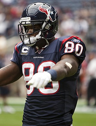 <span class="mw-page-title-main">Andre Johnson</span> American football player (born 1981)