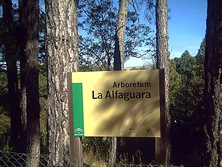 Arboretum La Alfaguara