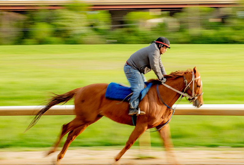 File:Arlington Park BTS-2377 - 46995391785.jpg