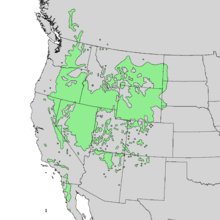 Mapa rozsahu Artemisia tridentata 1.png