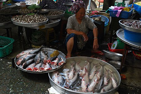 Basa fish - Vinh Long Market.jpg