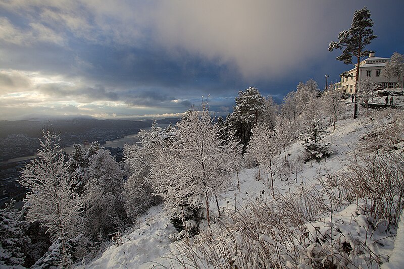 File:Beautiful winter view at Fløyen.jpg