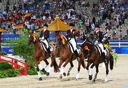 2008-as olimpiai győzelme után (középen)