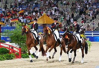 Three Hanoverian geldings made up the gold medal-winning dressage team at the 2008 Beijing Olympics