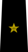 Belarus Police—03 Major General rank insignia (Black).png