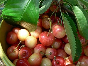 Bigarreaus fruit.jpg
