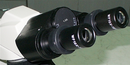 Fénymikroszkóp: A mikroszkóp felépítése, Okulárok, Objektívek