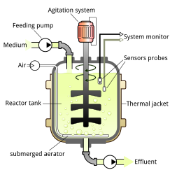 Potential bioreactor configuration for cultured meat Bioreactor principle.svg